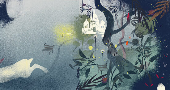 Couvertures des livres 