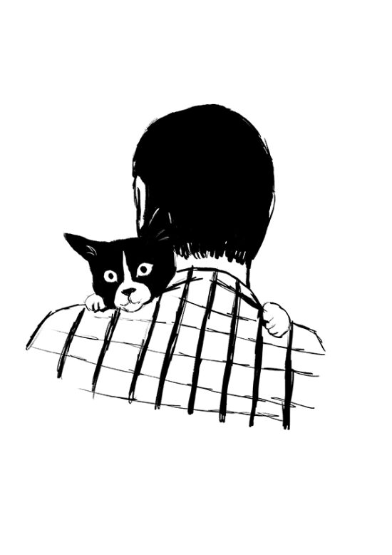 Les Mémoires d´un chat  (Livre illustré)