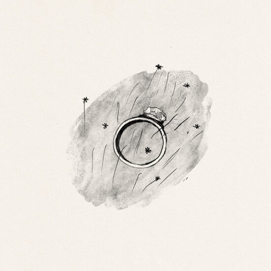 Emily from the New Moon (Livre illustré)