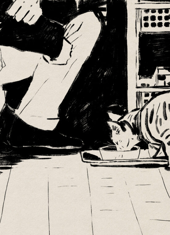 Et si les chats disparaissaient du monde