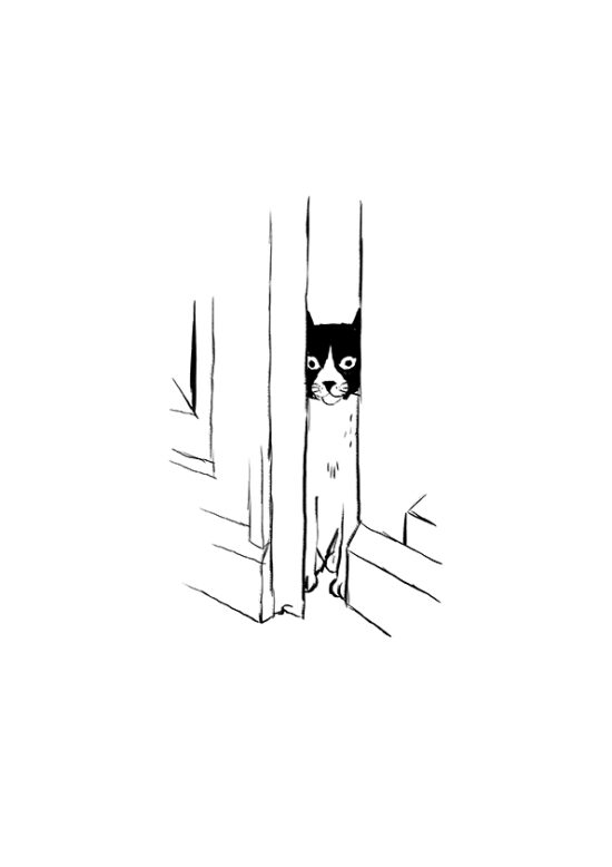 Les Mémoires d´un chat  (Livre illustré)