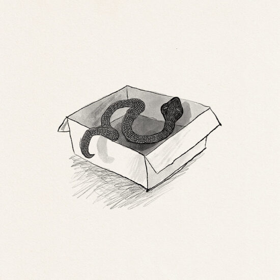 Emily from the New Moon (Livre illustré)