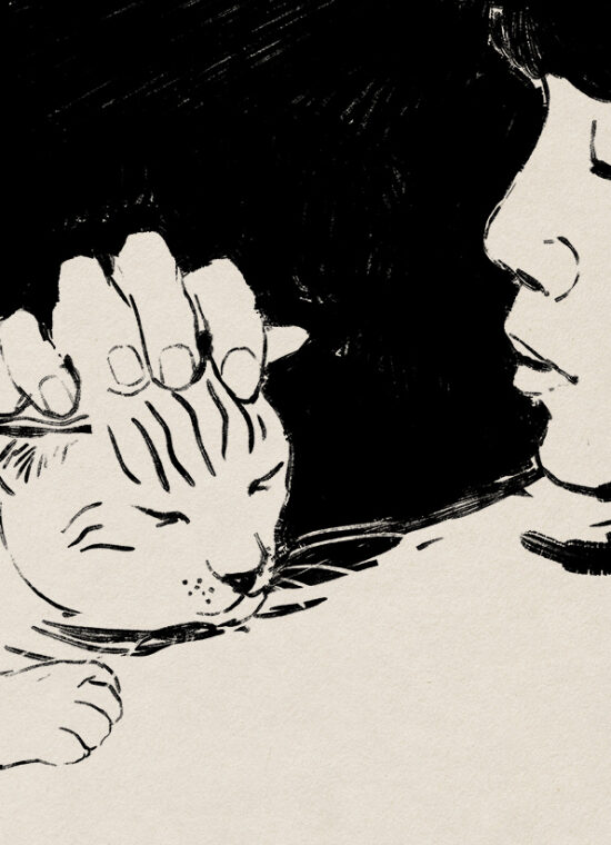 Et si les chats disparaissaient du monde