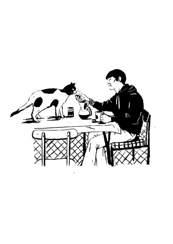 Les Mémoires d´un chat  (Livre illustré)