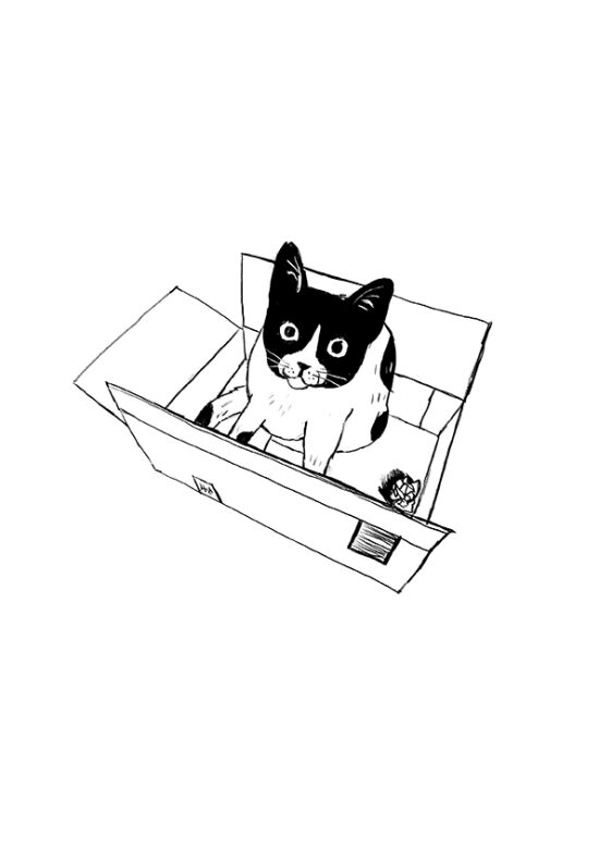 Les Mémoires d´un chat  (Livre illustré)
