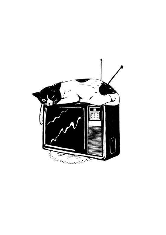 Les Mémoires d´un chat  (Livre illustré)