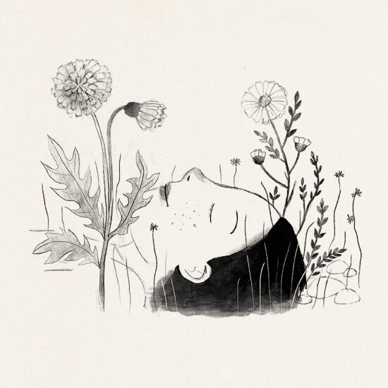 Emily from the New Moon (Livre illustré)