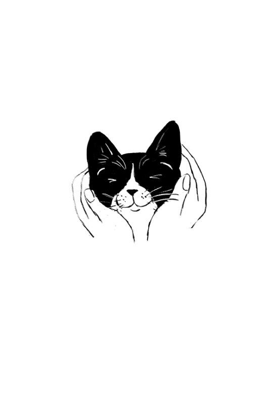 Les Mémoires d´un chat  (Livre illustré)