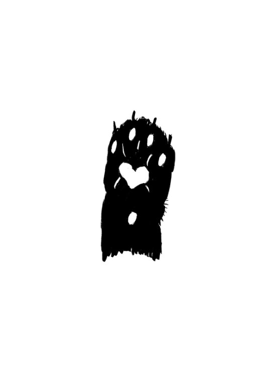 Les Mémoires d´un chat  (Livre illustré)
