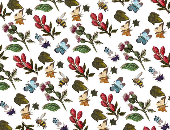 Jardin Secret (Livre illustré)