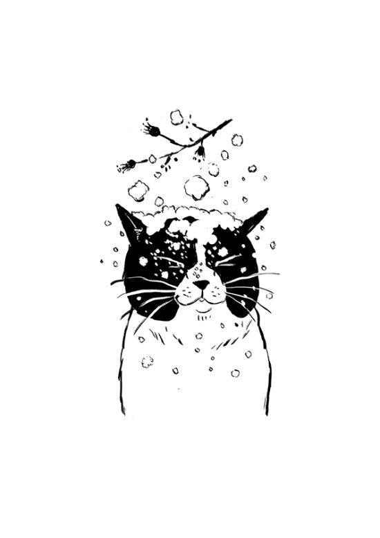 Les Mémoires d´un chat  (Livre illustré)
