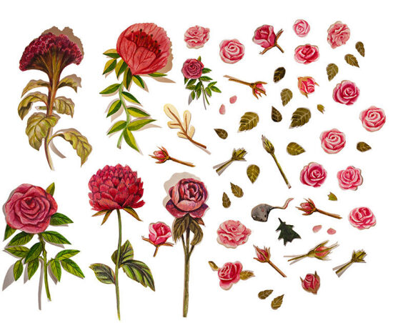 Jardin Secret (Livre illustré)