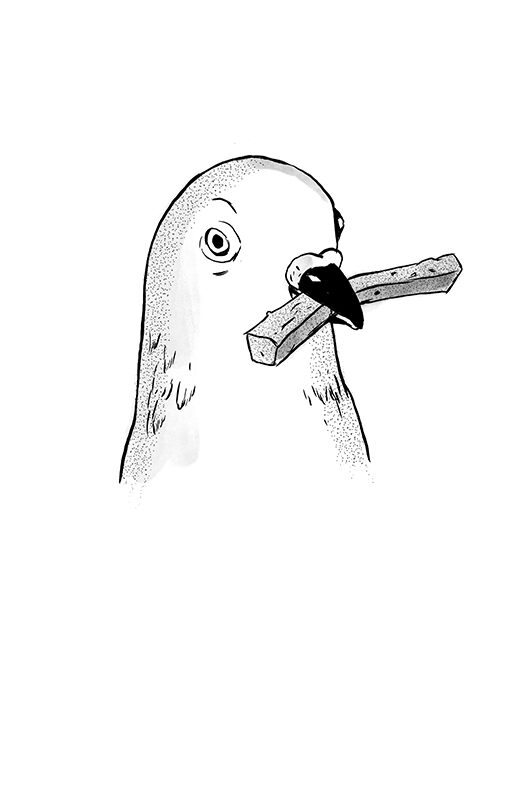 "Brussailes" Eléonore Devillepoix (Livre illustré)