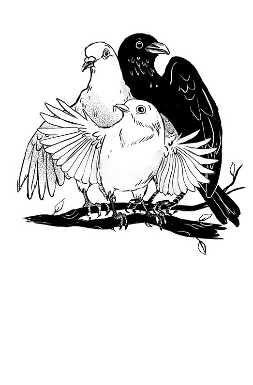 "Brussailes" Eléonore Devillepoix (Livre illustré)