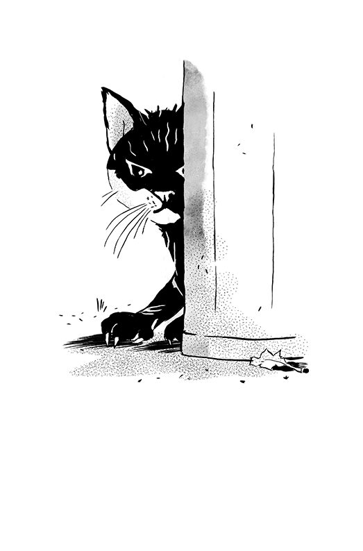 "Brussailes" Eléonore Devillepoix (Livre illustré)