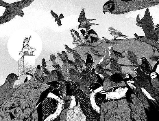 "Brussailes" Eléonore Devillepoix (Livre illustré)