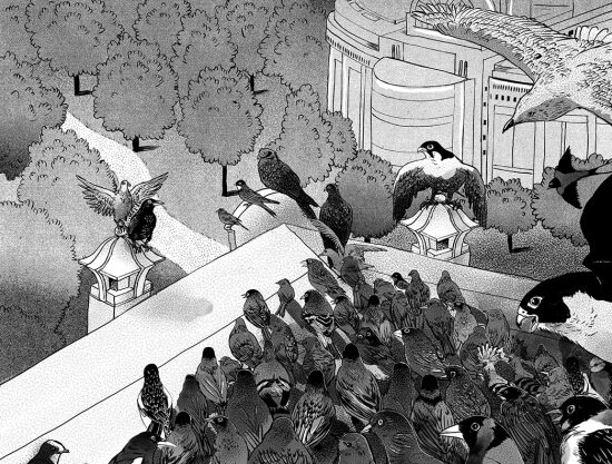 "Brussailes" Eléonore Devillepoix (Livre illustré)