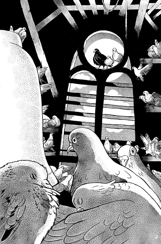 "Brussailes" Eléonore Devillepoix (Livre illustré)