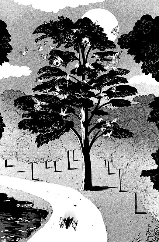 "Brussailes" Eléonore Devillepoix (Livre illustré)