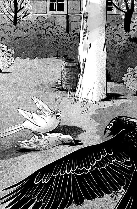 "Brussailes" Eléonore Devillepoix (Livre illustré)